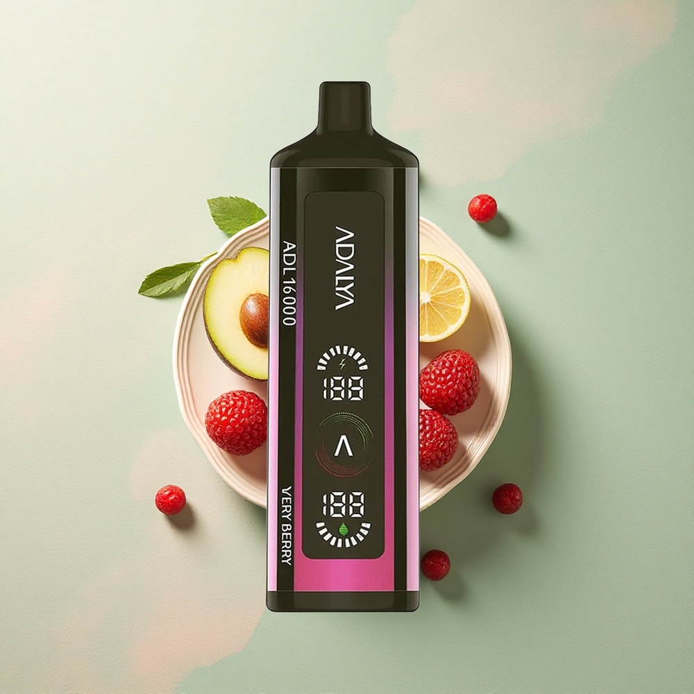 Adalya ADL 16000 PRO Zeer Bes Digital Scherm USB-C