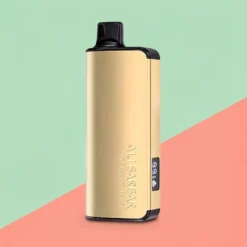 AliBarBar Ingot Bosbes Blast 9000 trekjes 2350mAh 22ml