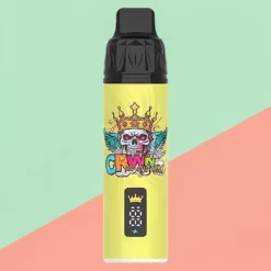 Crwn Kit Kiwi-Ananas - 9000 puffs - Mesh Coil USB-C