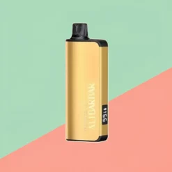 AliBarBar Ingot - Aardbei Kiwi - 9.000 trekjes - 22 ml