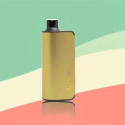 ALIBARBAR 9000 Puffs - 21 smaken (2 stuks)